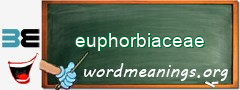 WordMeaning blackboard for euphorbiaceae